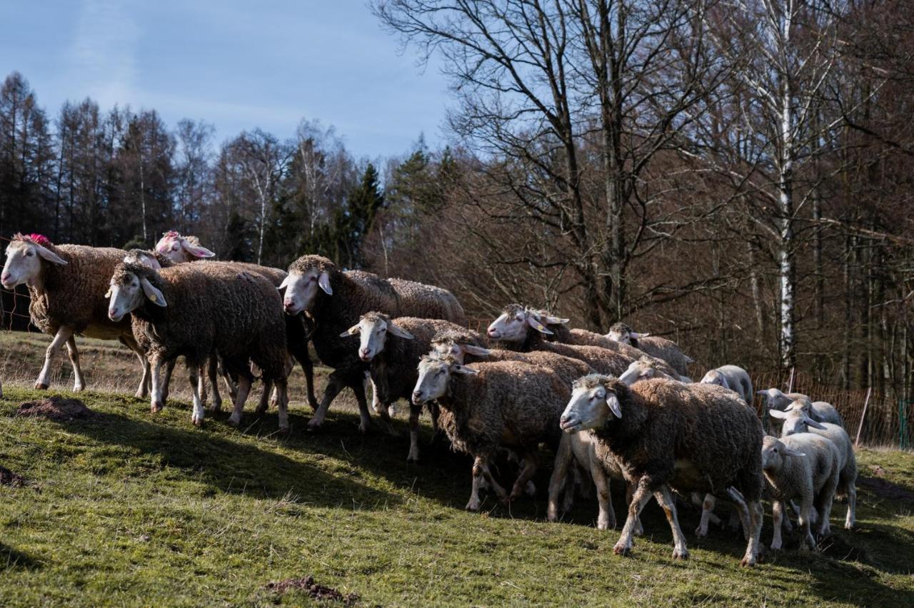 Ferienhaeuser Zur Schaeferei *