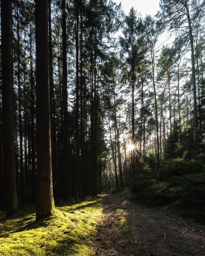 Ferienhaeuser Zur Schaeferei
